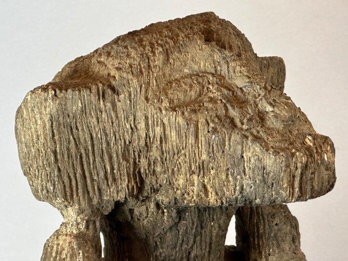 Extremely rare Antique African Ngbaka monkey statue - Congo., Antiek en Kunst, Kunst | Niet-Westerse kunst