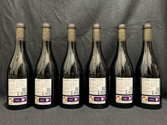 2018 Dominio de Tares, Cepas Viejas Mencía - Bierzo - 6, Verzamelen, Wijnen