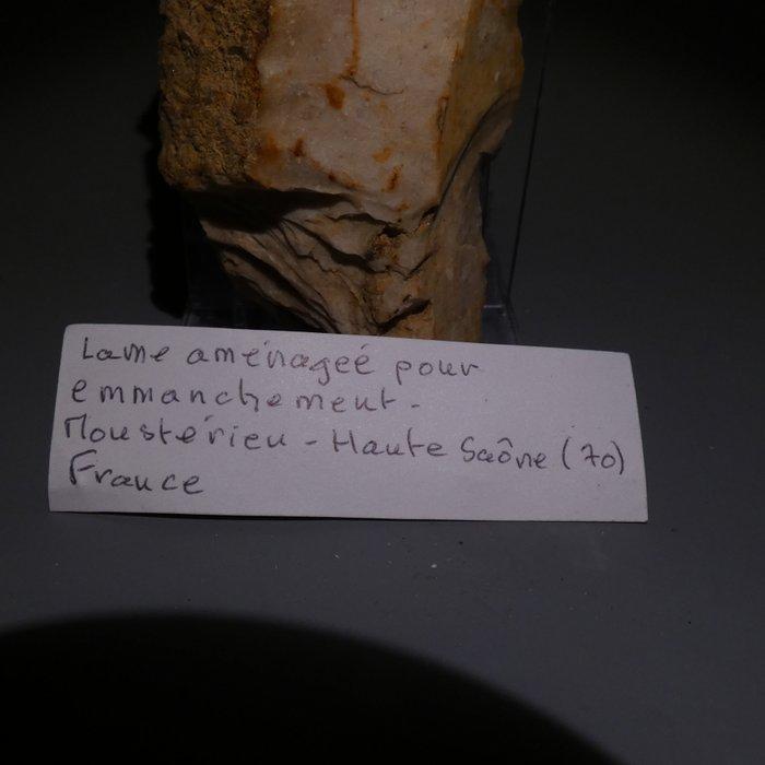 Néolithique Silex. Couteau de 9 cm de long - 5000 av. J.-C., Collections, Minéraux & Fossiles