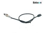 Lambda Sonde Honda MSX 125 2014-2016 (MSX125 JC61A), Motoren, Onderdelen | Honda, Verzenden, Gebruikt