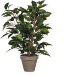 Tweedekans | Mica Decorations groene ficus kunstplant - 40, Ophalen of Verzenden