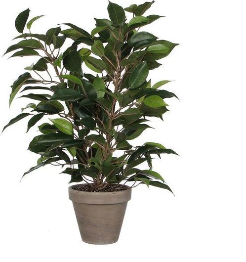 Tweedekans | Mica Decorations groene ficus kunstplant - 40, Tuin en Terras, Planten | Tuinplanten, Ophalen of Verzenden