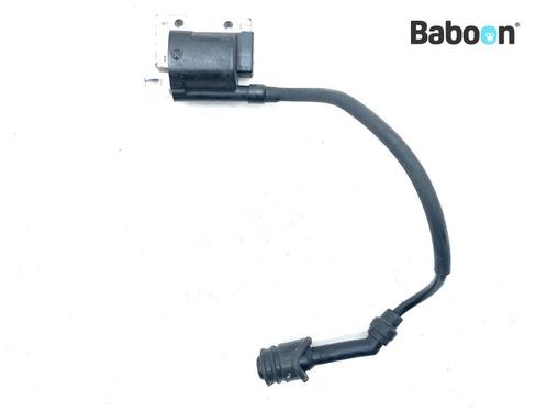 Bobine Royal Enfield Interceptor 650 2022, Motoren, Onderdelen | Overige, Gebruikt, Verzenden