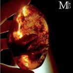 Mexicaanse amber uit Chiapas - Barnsteen - Blue Fossil Amber, Nieuw