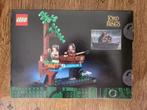 Lego Set - 40761 - Icons, The Lord of the Rings - Sméagol &, Kinderen en Baby's, Speelgoed | Duplo en Lego, Nieuw