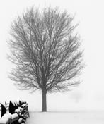 Elizaveta Kalinina - lago Laceno - Italy