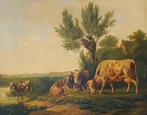 Albertus Verhoesen (1806-1881) - Serene scene of Cows, Antiek en Kunst