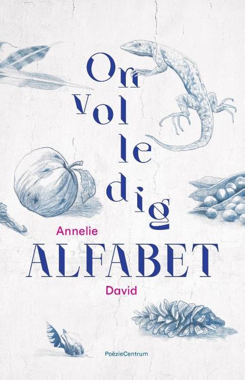 Onvolledig alfabet 9789056552626 Annelie David, Boeken, Overige Boeken, Zo goed als nieuw, Verzenden