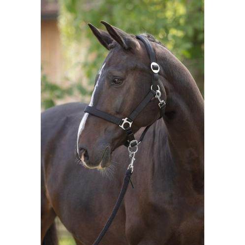 Halster doria, black cob  - kerbl, Dieren en Toebehoren, Paarden en Pony's | Overige Paardenspullen, Nieuw