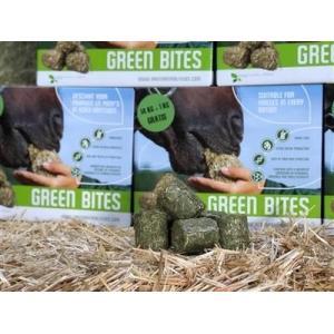 Green bites ruwvoer ( 14 kg doos ) -  de ronde kubus koek, Animaux & Accessoires, Chevaux & Poneys | Autres trucs de cheval