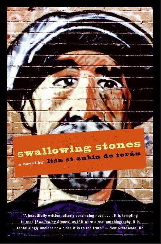 Swallowing Stones 9780060781040 Lisa St Aubin De Terán, Boeken, Taal | Engels, Gelezen, Verzenden