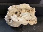White Moonstone Selected MS10   11,1KG / 32x24x25cm, Dieren en Toebehoren, Ophalen of Verzenden, Nieuw, Plant(en), Steen of Hout