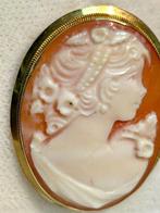 Broche - 18 karaat Geel goud Koraal - Koraal