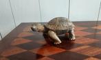 Figure - P. Chenet - Schildpad - 13,5 cm - Bronze, Antiek en Kunst