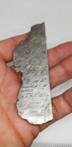 Prachtige meteoriet uit Aletai. Zonder minimumprijs!!! IJzer