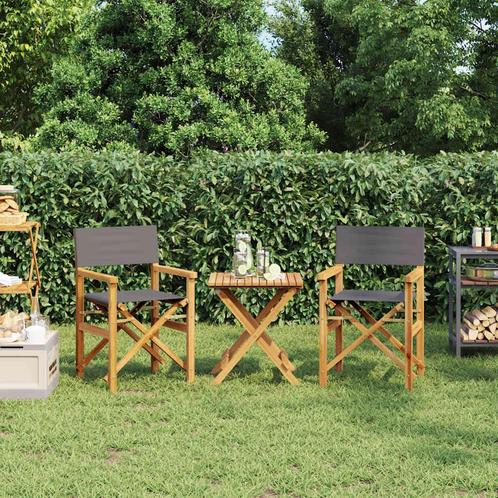 vidaXL Regisseursstoelen inklapbaar 2 st massief teakhout, Tuin en Terras, Tuinstoelen, Nieuw, Verzenden