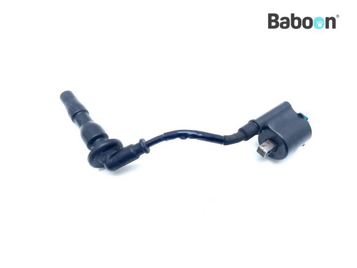 Bobine Honda CB 300 R 2022-2024 (NC55 CB300R), Motoren, Onderdelen | Honda, Gebruikt, Verzenden