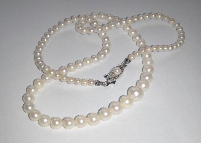 Zonder Minimumprijs - Halsketting 18 kt witgoud -, Handtassen en Accessoires, Kettingen