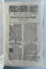 Jacob Theodor Tabernaemontanus (Jacobi Theodori, Antiek en Kunst