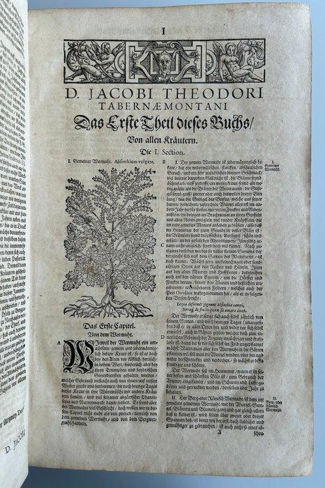 Jacob Theodor Tabernaemontanus (Jacobi Theodori, Antiek en Kunst, Antiek | Boeken en Manuscripten