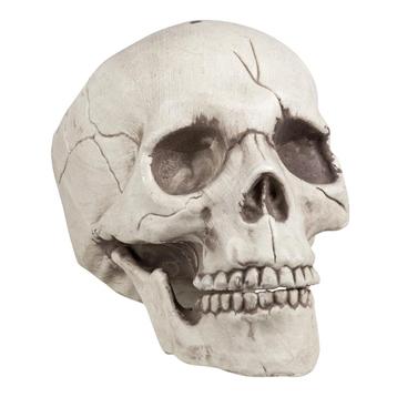 Halloween Schedel Beweegbare Kaak 21cm, Verzenden