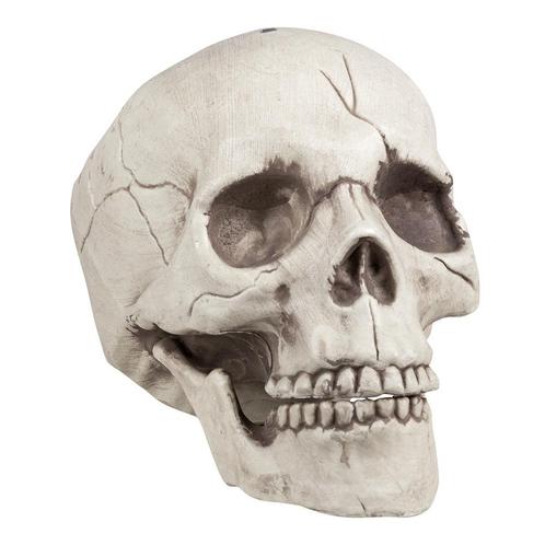 Halloween Schedel Beweegbare Kaak 21cm, Hobby en Vrije tijd, Feestartikelen, Nieuw, Verzenden