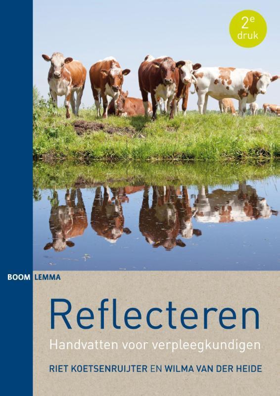 Reflecteren 9789462363939 Riet Koetsenruijter, Boeken, Wetenschap, Zo goed als nieuw, Verzenden