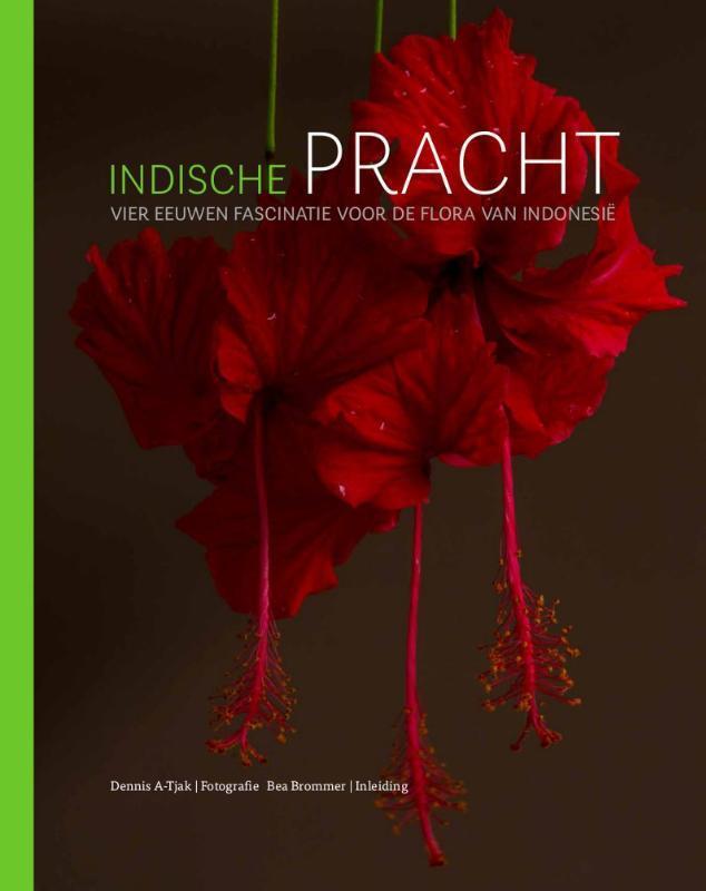 Indische pracht 9789460224935 Dennis A-Tjak, Boeken, Kunst en Cultuur | Beeldend, Zo goed als nieuw, Verzenden