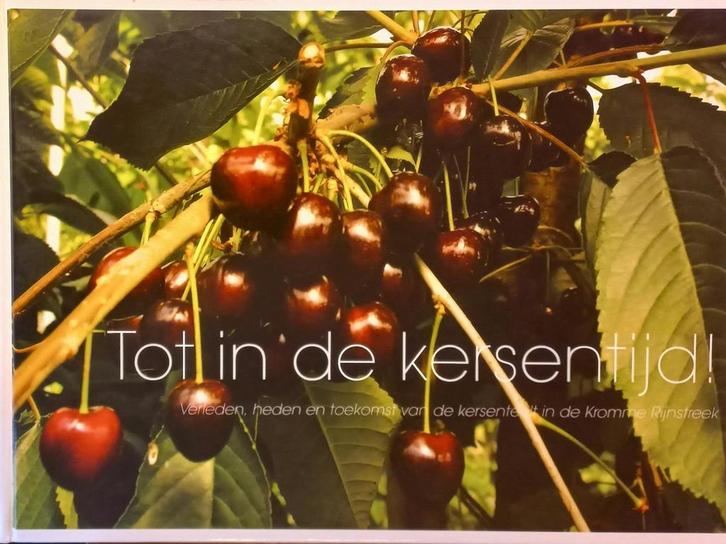 Tot in de kersentijd! 9789090208060 F. Smink, Livres, Guides touristiques, Envoi