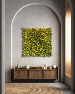 Swen Van der Sangen - Blossom Spring something rare,
