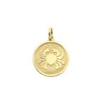 Gouden sterrenbeeld hanger; Kreeft (geelgoud, astrologie), Handtassen en Accessoires, Bedels, Ophalen of Verzenden, Gebruikt, Goud