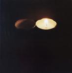 RINKO KAWAUCHI (*1972) - Search of the Sun 2014