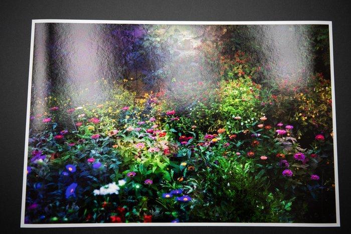 Viet Ha Tran - Night garden, Antiek en Kunst, Kunst | Designobjecten