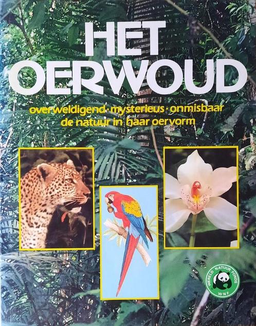 Oerwoud 9789010040619 Henri Pieter Rensenbrink, Boeken, Wetenschap, Gelezen, Verzenden