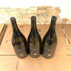 2024 Stefano Antonucci, Animale Celeste - Marche - 3 Magnums
