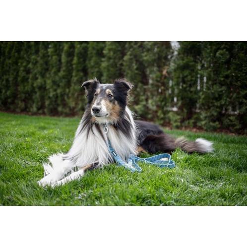 Führleine colorado, ocean, 25 mm - 200 cm - kerbl, Dieren en Toebehoren, Honden-accessoires, Nieuw