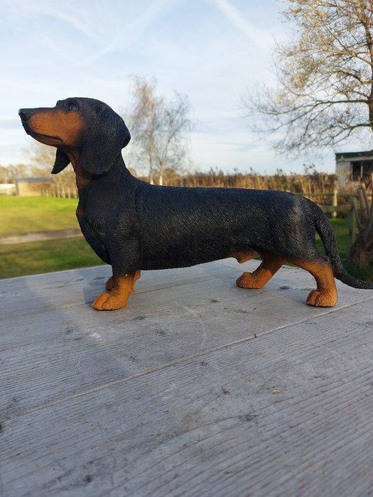 Beeld, tuin beeld van een teckel - 25 cm - polyresin, Antiek en Kunst, Kunst | Designobjecten