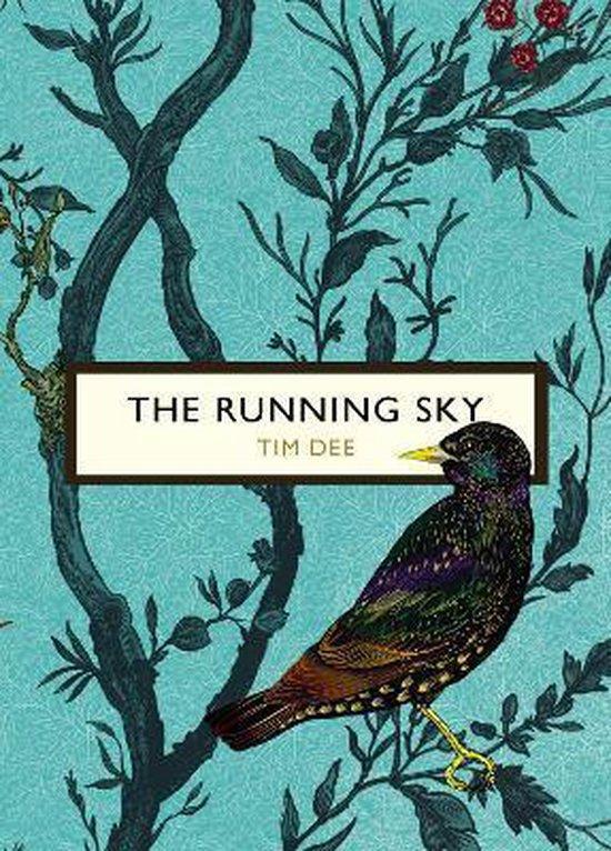 Running Sky The Birds & The Bees 9781784871147 Tim Dee, Boeken, Taal | Engels, Zo goed als nieuw, Verzenden