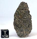 Plakje Mars-meteoriet NWA 15196 (Shergottiet) Achondrite