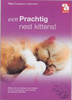 Prachtig Nest Kittens 9789058210326, Boeken, Dieren en Huisdieren, Gelezen, P. Overgaauw, Verzenden