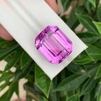 1 pcs Roze, Paars Kunziet - 63.07 ct - nternational Colored, Nieuw