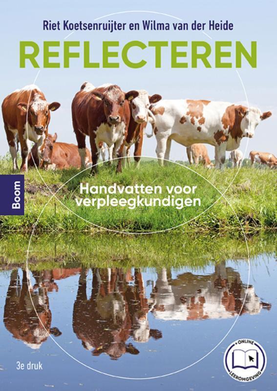 Reflecteren 9789024451579 Riet Koetsenruijter, Boeken, Schoolboeken, Zo goed als nieuw, Verzenden