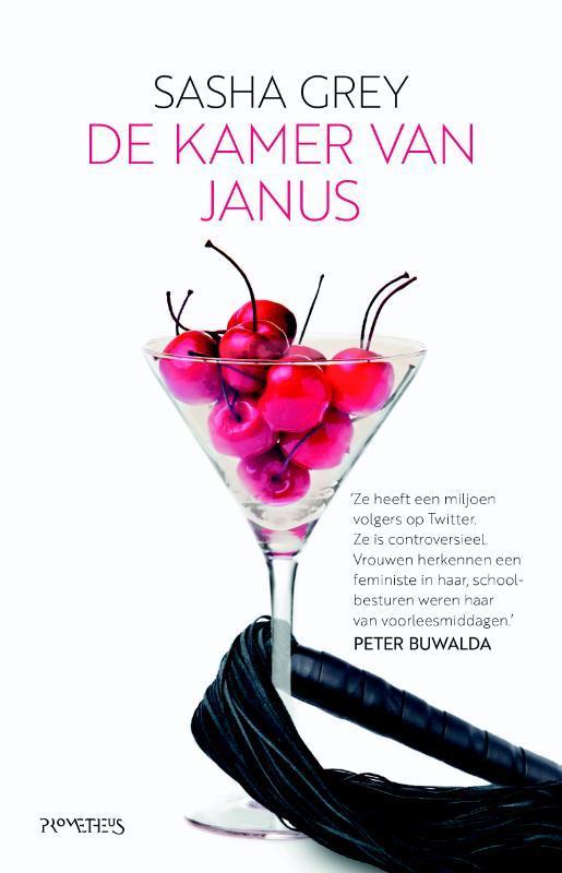 De kamer van Janus 9789044632781 Sasha Grey, Boeken, Romans, Gelezen, Verzenden