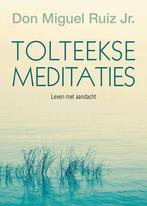 Tolteekse meditaties 9789020211078, Boeken, Gelezen, Don Miguel Ruiz, Miguel Ruiz, Verzenden