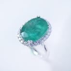 Zonder Minimumprijs - Ring Platina - 8.29ct. tw. Smaragd -, Handtassen en Accessoires, Ringen, Nieuw
