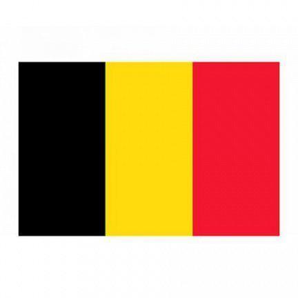 Kingdo Belgische Vlag 150 x 90 cm, Sport en Fitness, Voetbal, Overige typen, Nieuw, Verzenden