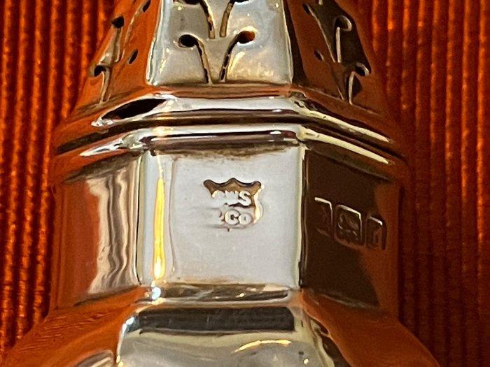 Samuel Walker Smith & Co - Zout- en pepervaatjes - .925, Antiek en Kunst, Antiek | Zilver en Goud