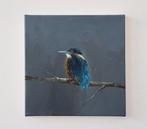 Matthieu van Riel - IJsvogel, nacht