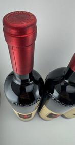 1999 Argiolas Turriga - Sardinië IGT - 3 Flessen (0.75, Nieuw