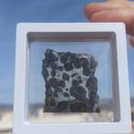 Sericho pallasite meteorietsnede - GEEN minimumprijs!!! -, Verzamelen